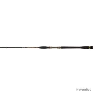 DP-24 ! Canne Penn Legion Cat Gold Spin 2.45 m - 2.45 m